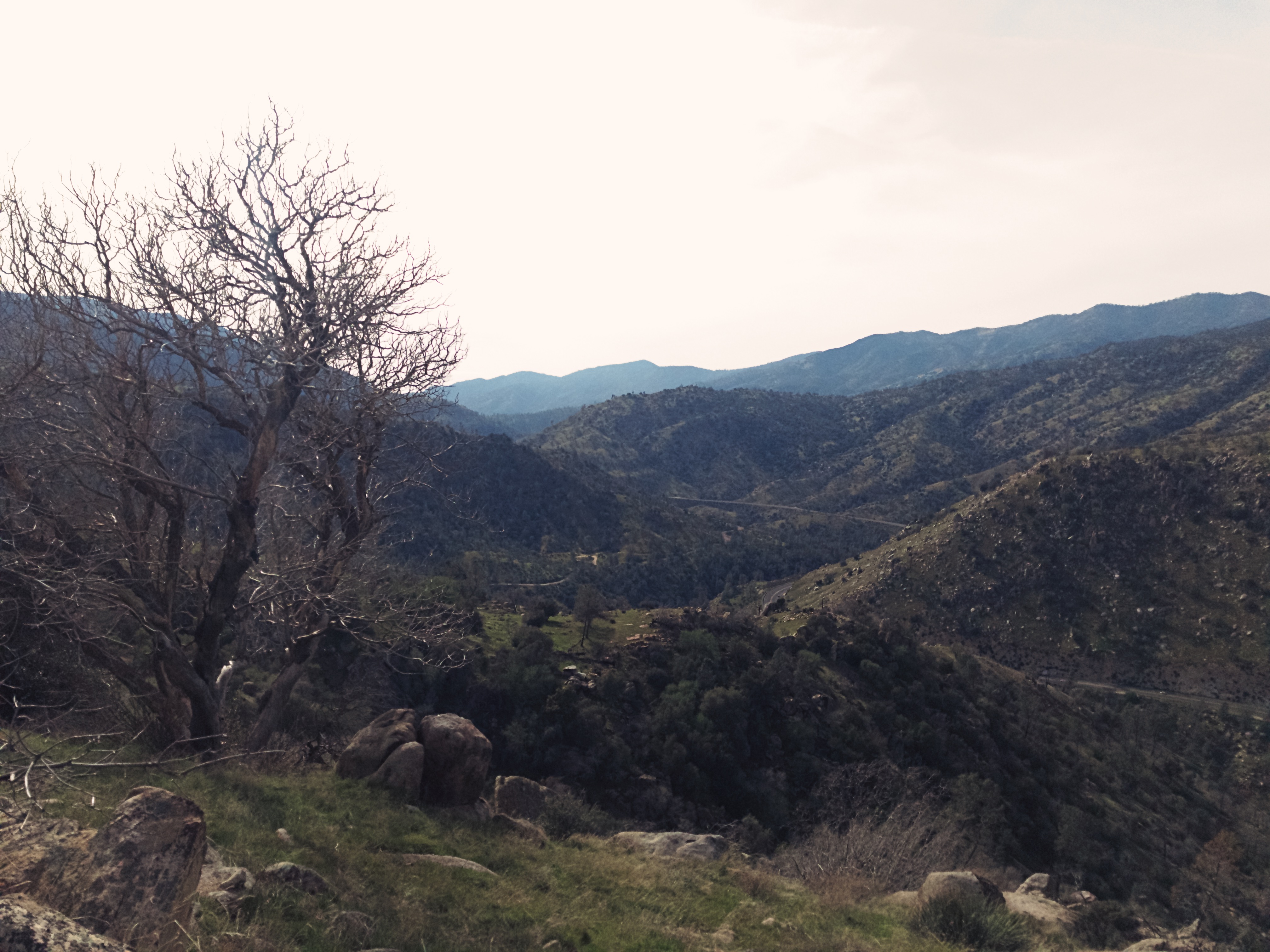 Remington Ridge Trail