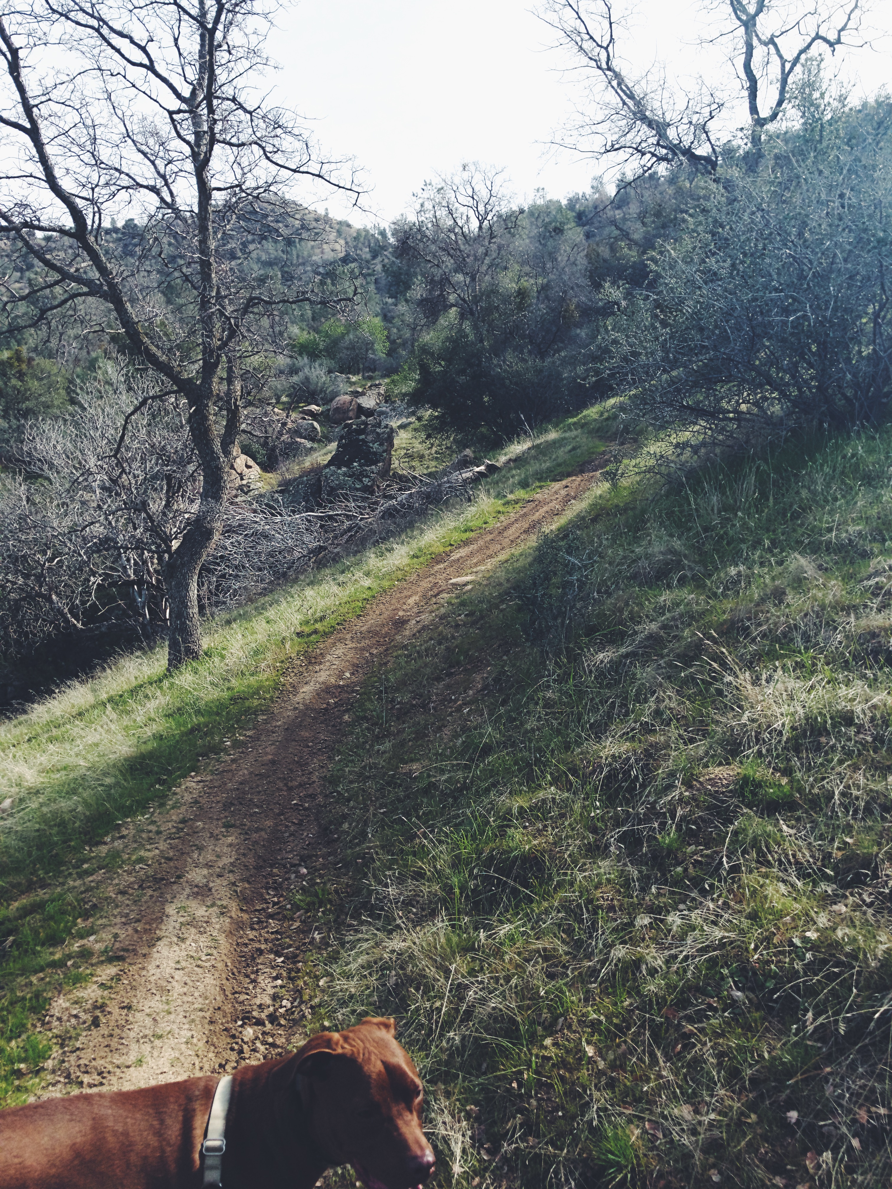 Remington Ridge Trail