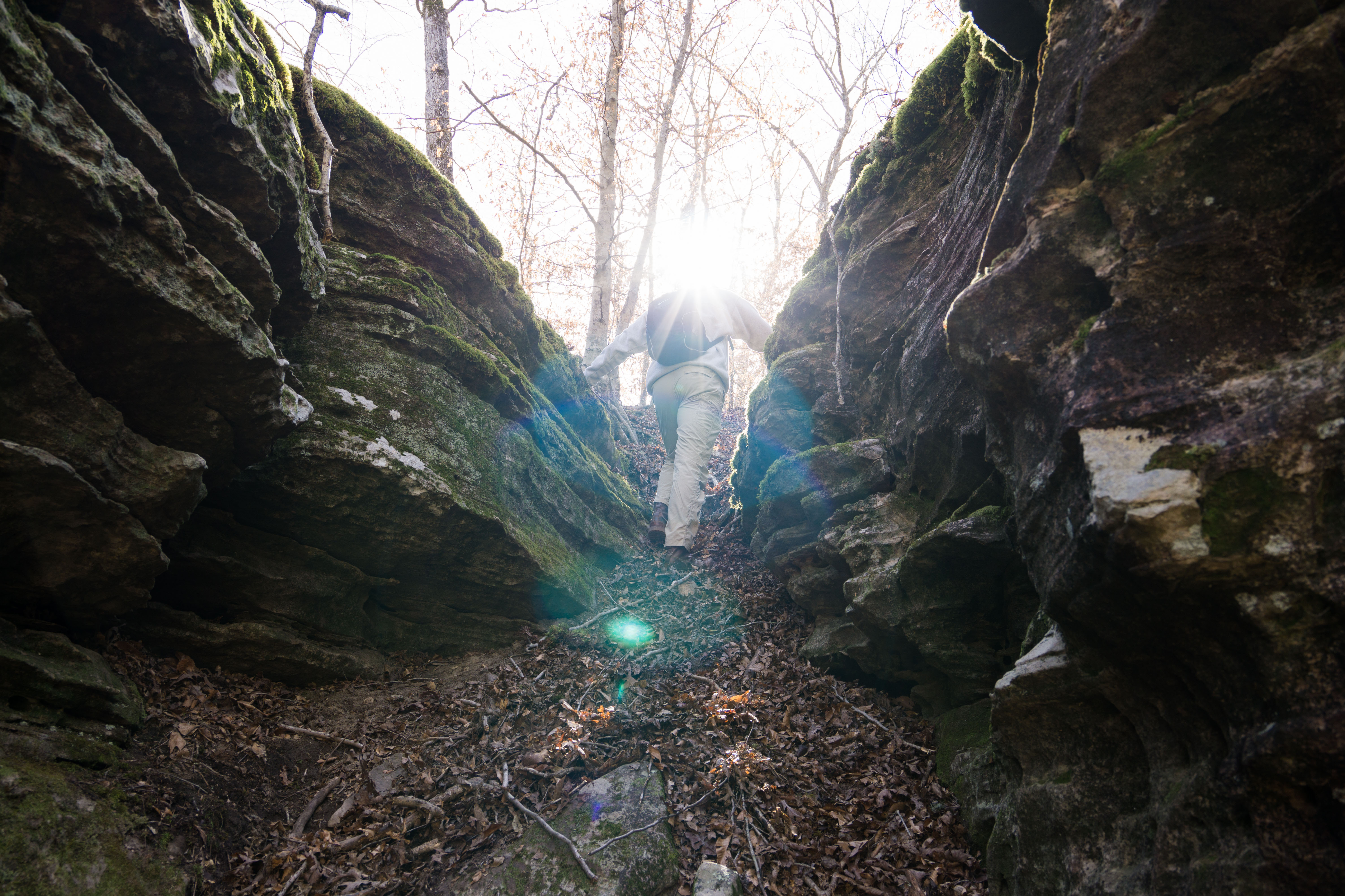 Hike to Steel Creek Overlook