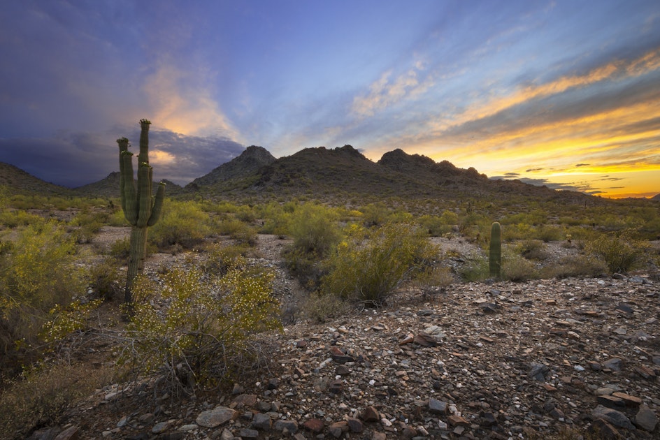Hike Phoenix Mountain Preserve's Freedom Trail , Phoenix, Arizona