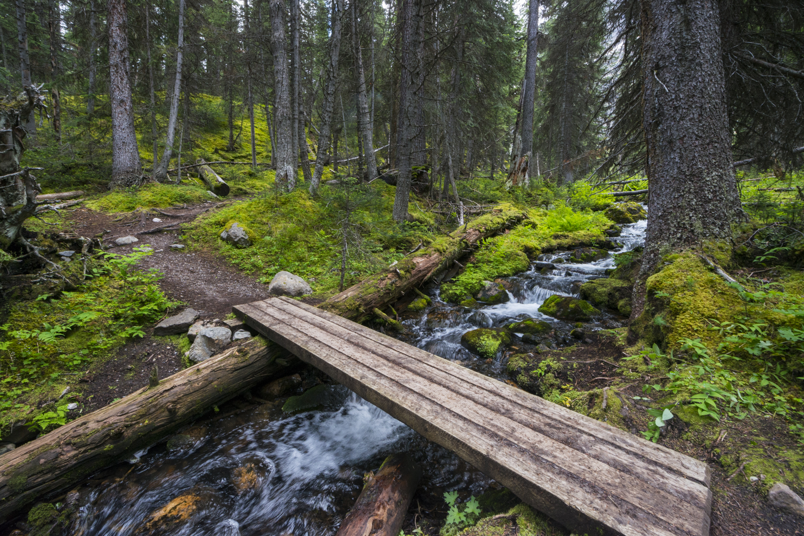 Hike to the Opabin Prospect