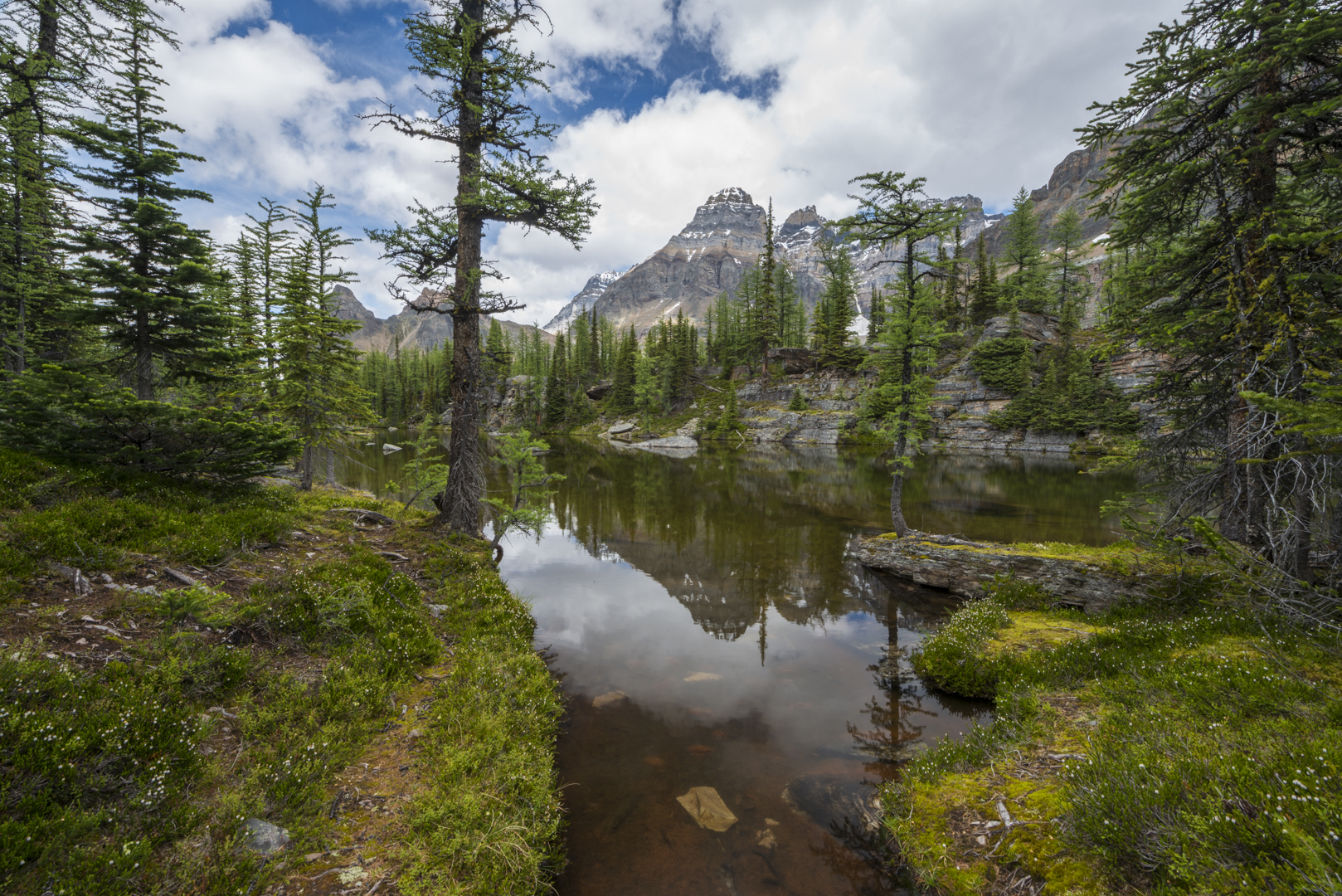 Hike to the Opabin Prospect