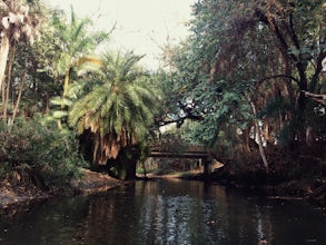 Kayak the Estero River at Koreshan State Park