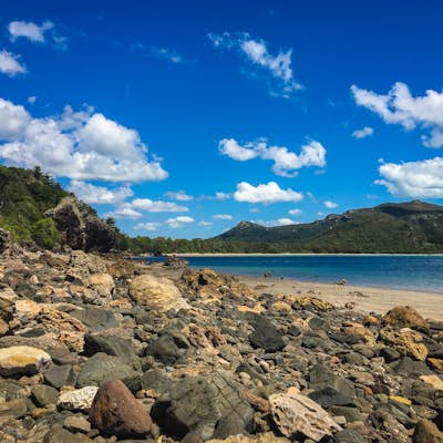 Hike the Andrews Point Trail at Cape Hillsborough