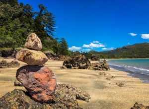 Hike the Andrews Point Trail at Cape Hillsborough
