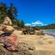 Hike the Andrews Point Trail at Cape Hillsborough