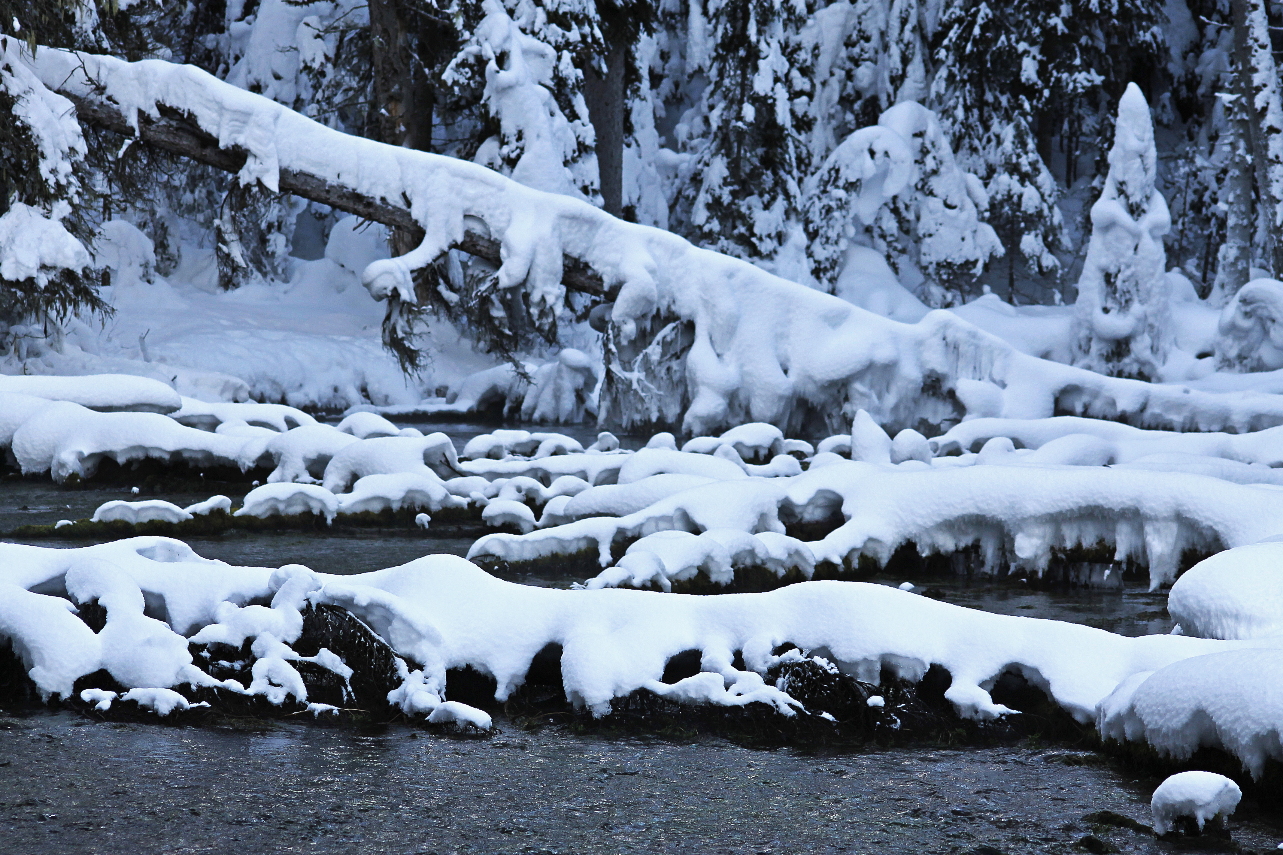 Snowshoe Livingstone Springs, Bear Lake, British Columbia
