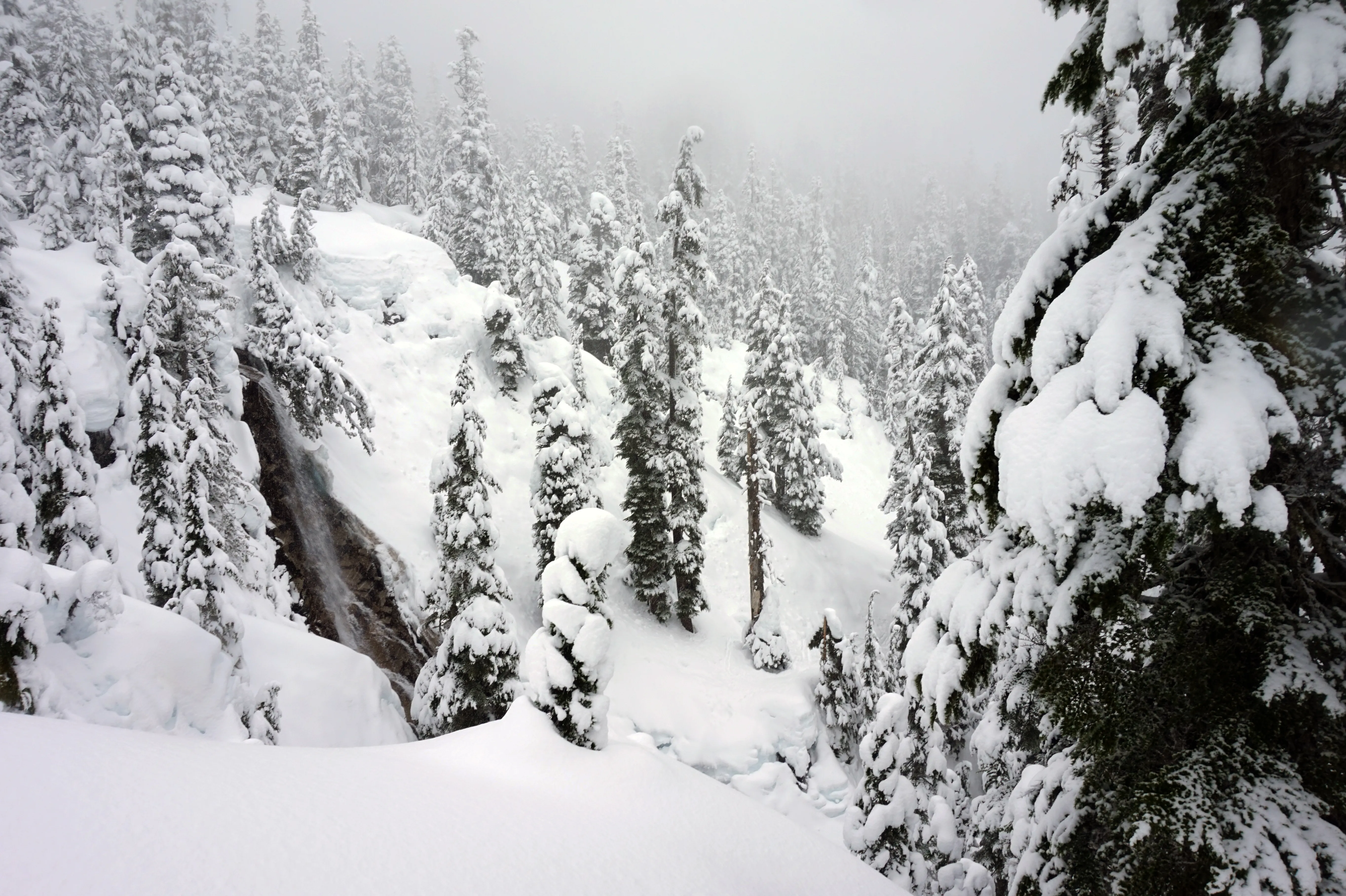 Ski or Snowshoe to Pineapple Pass