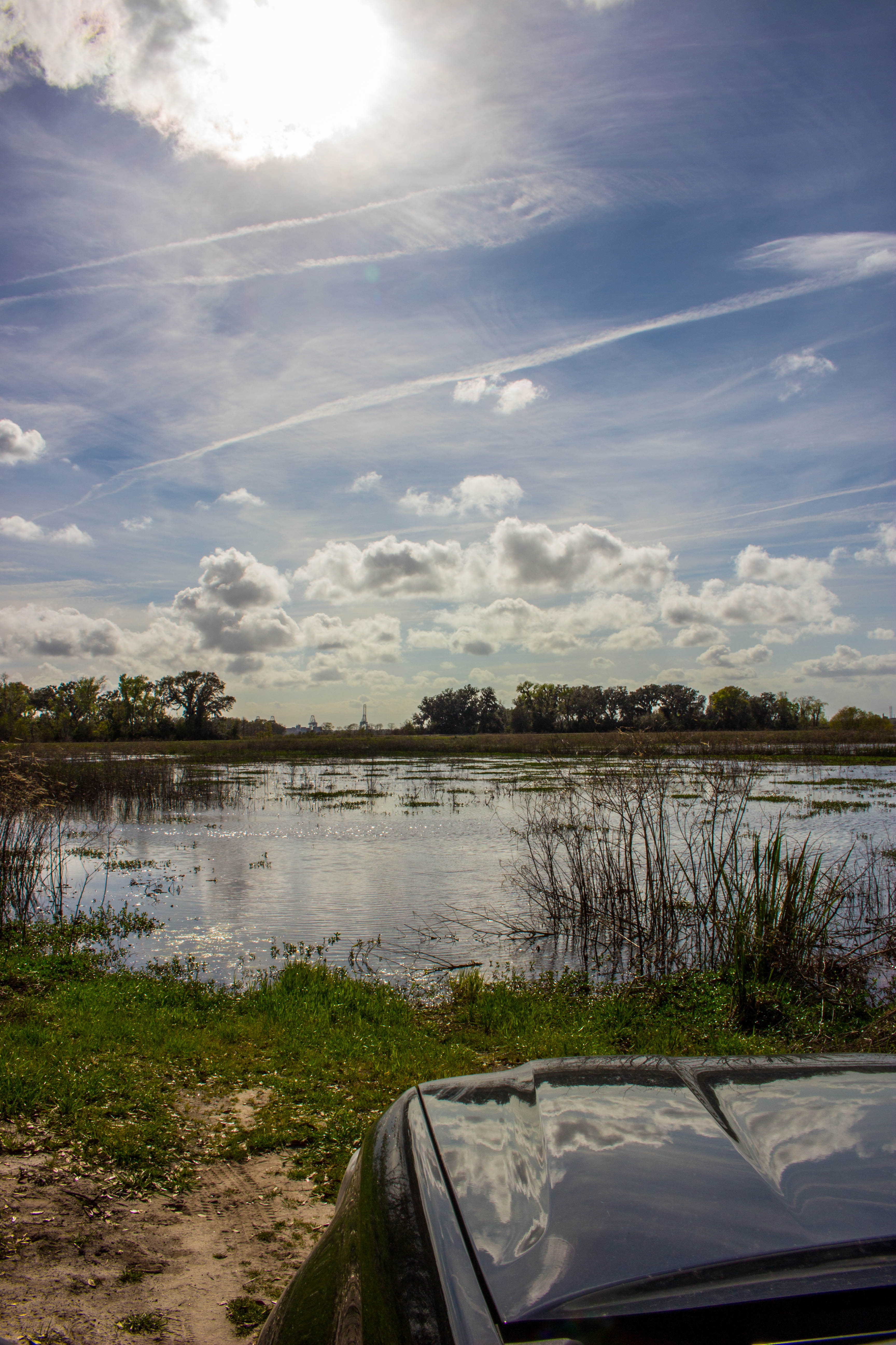 Photograph Wildlife Drive