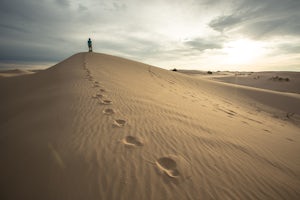 Sand Surf Down Monahans Sandhills