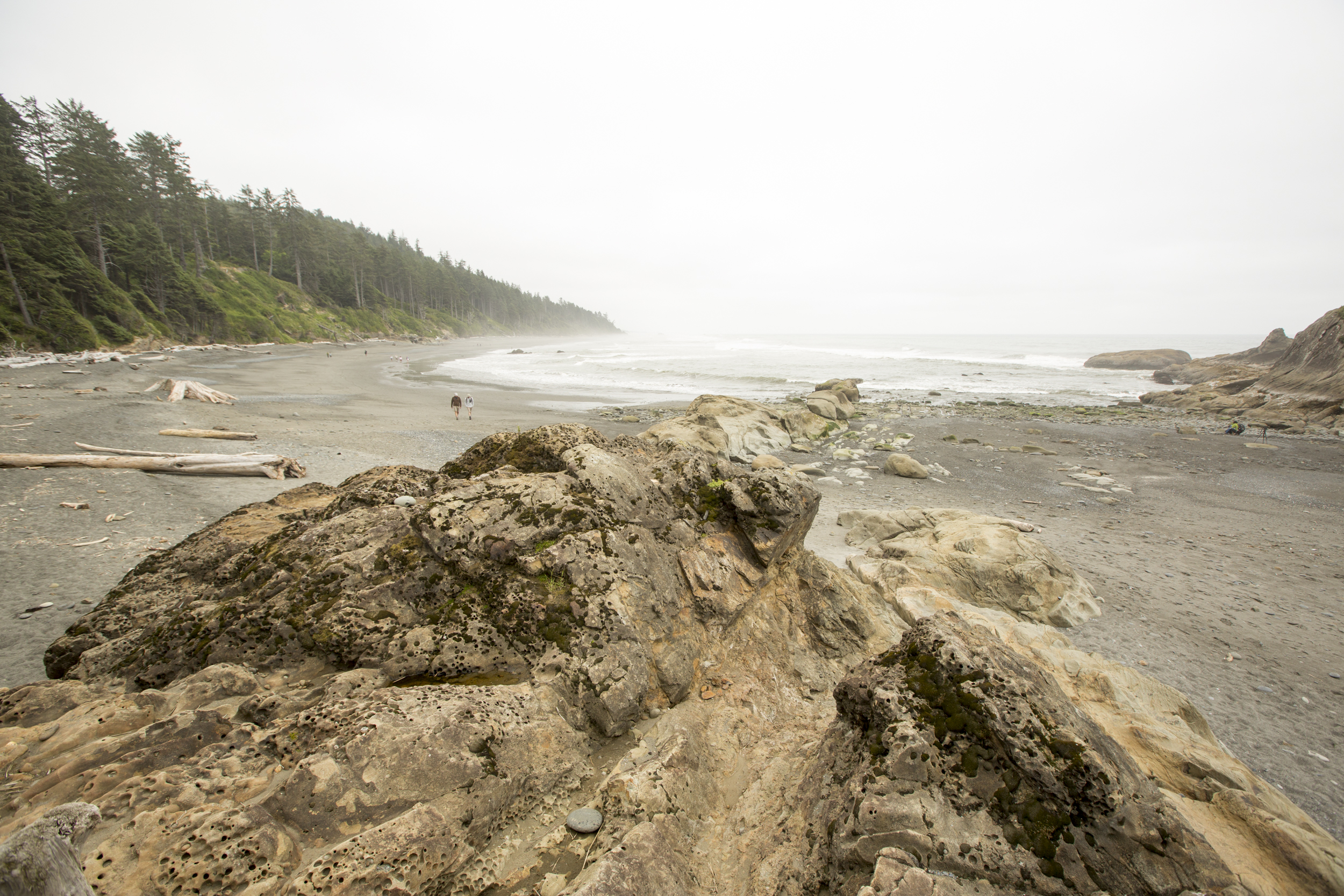 Tide Pools at Kalaloch Beach 4