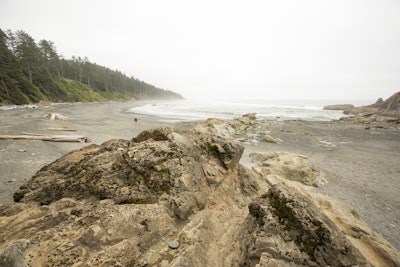 Explore Tide Pools at Kalaloch Beach 4, Washington