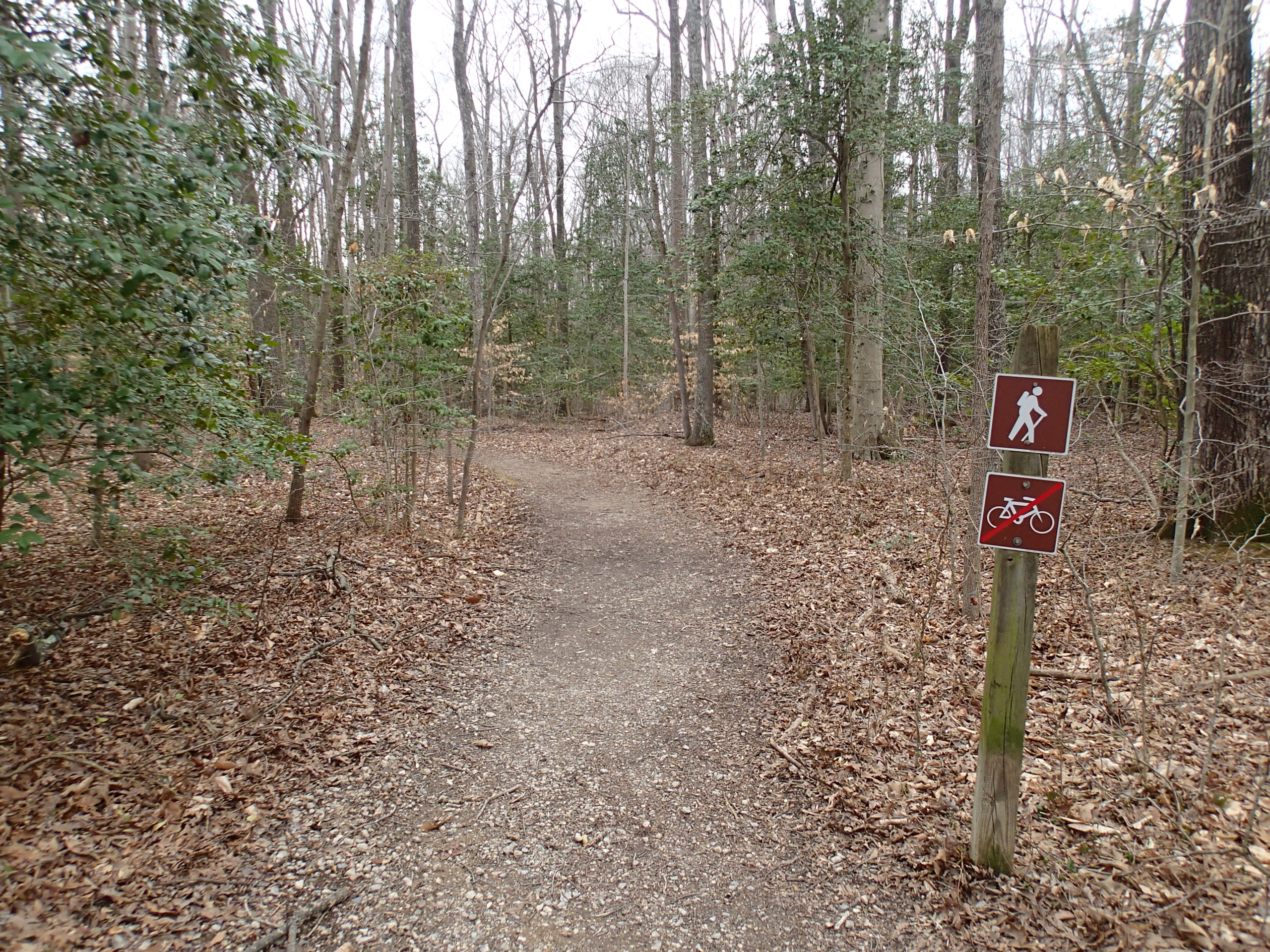 Woodmarsh Trail