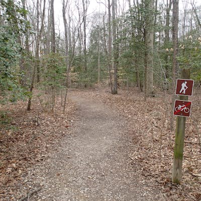 Hike the Woodmarsh Trail