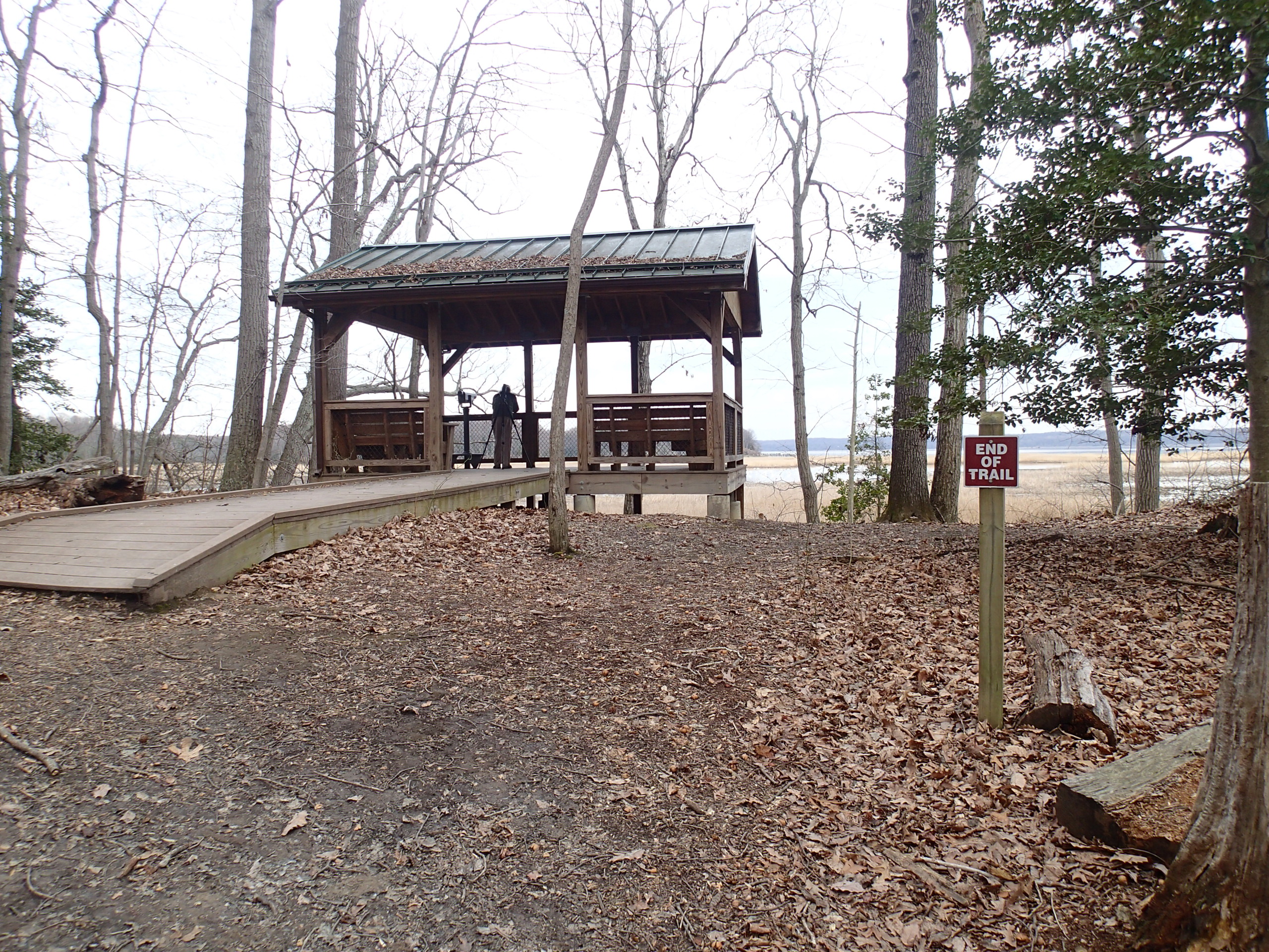 Woodmarsh Trail
