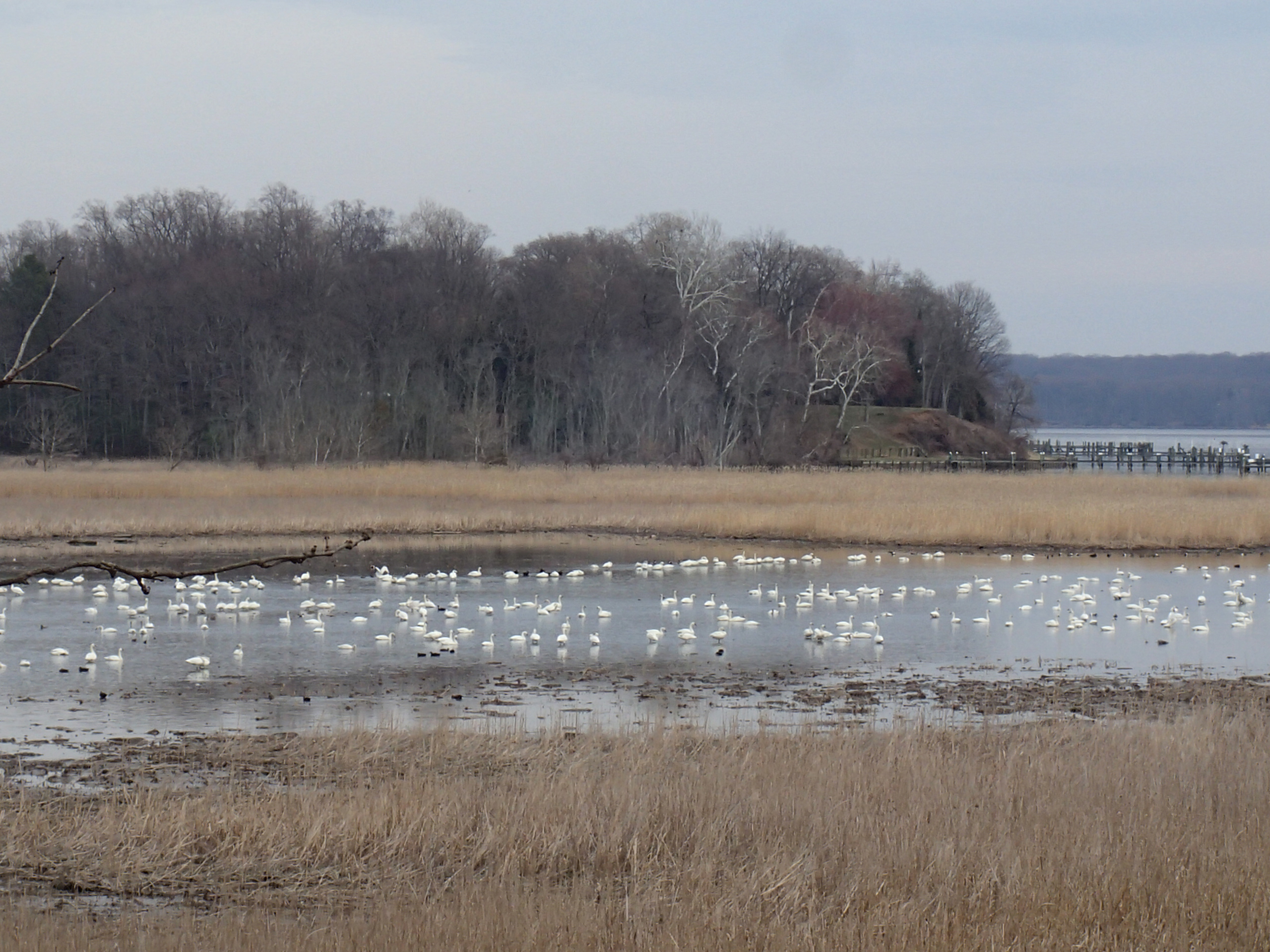 Woodmarsh Trail