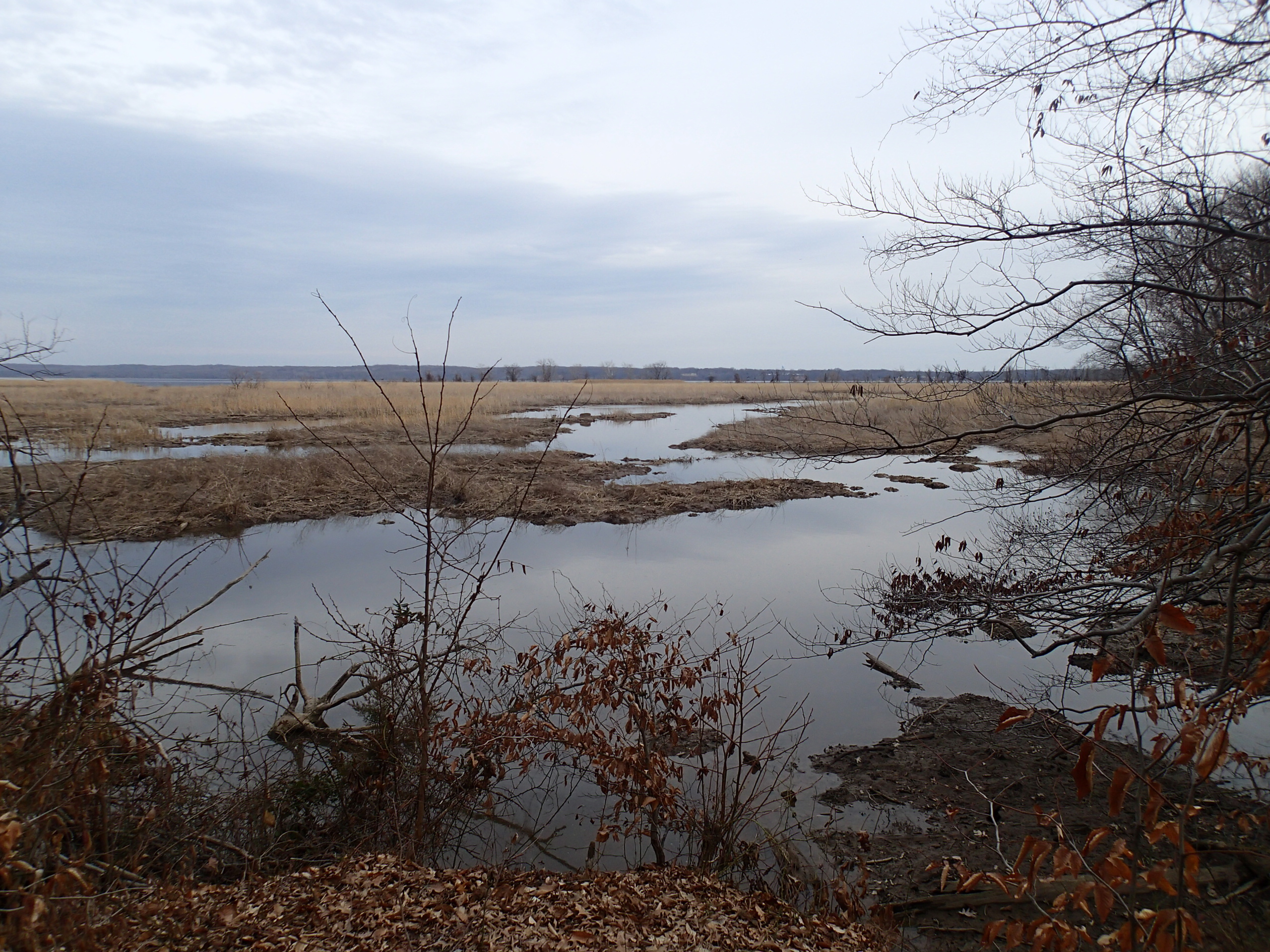 Woodmarsh Trail