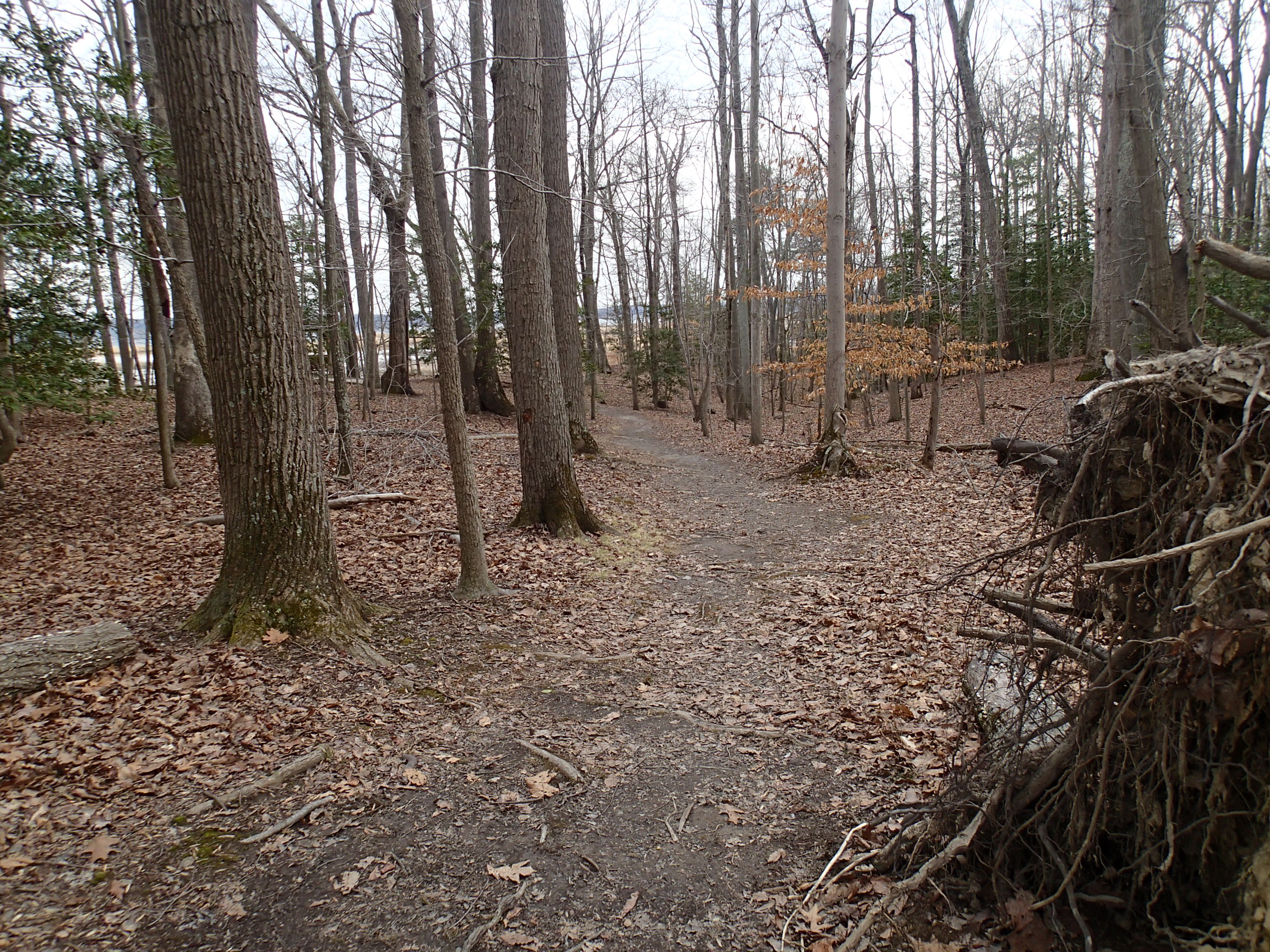 Woodmarsh Trail