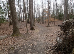 Woodmarsh Trail