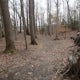 Woodmarsh Trail