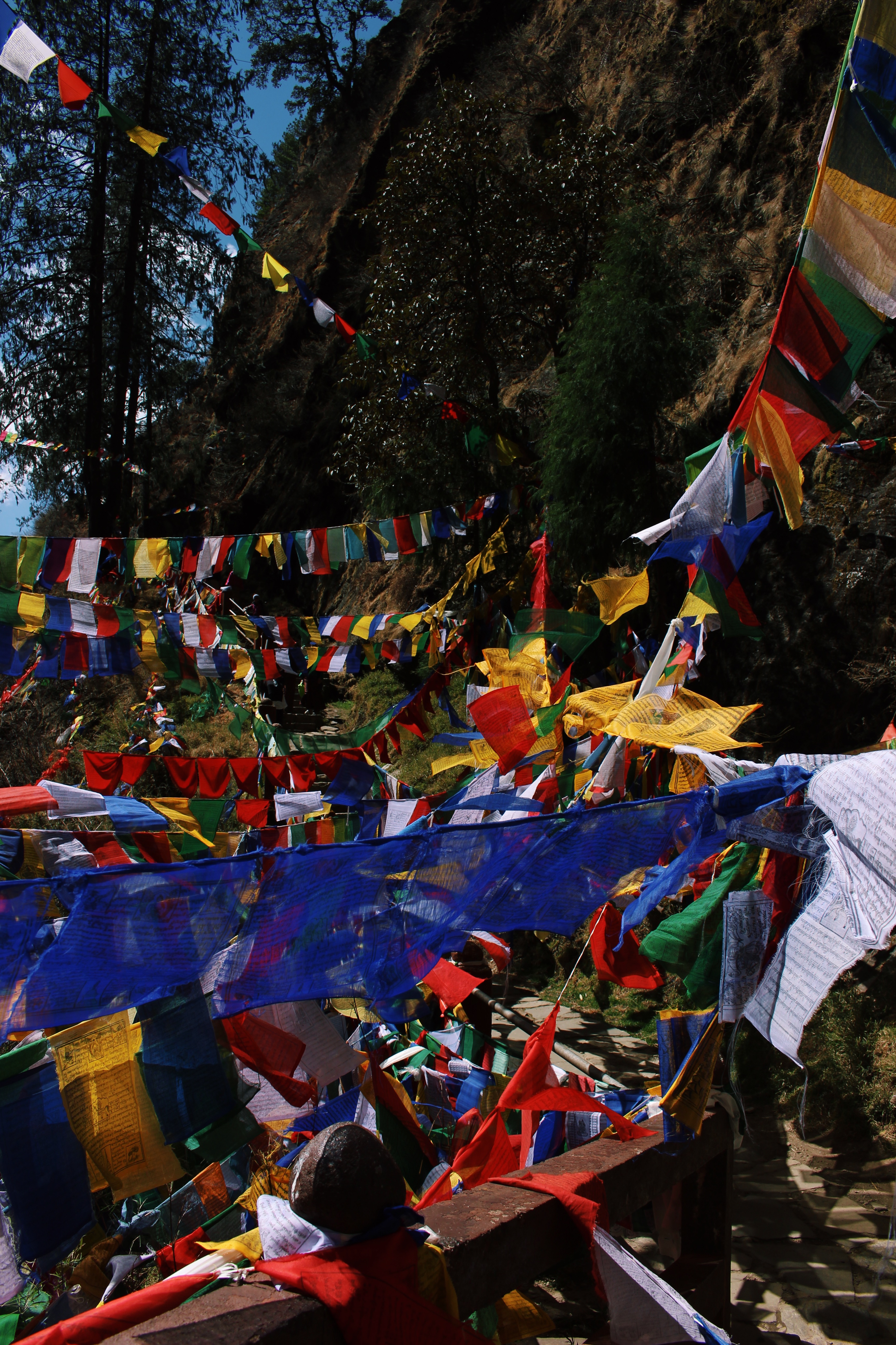 Hike to Tiger's Nest (Taktsang) Monastery