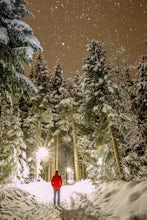 Hike along the Whistler Valley Trail Lit Section