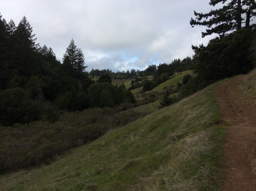 Peters Creek and Long Ridge