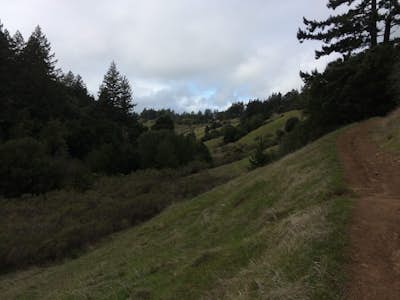 Hike Peters Creek and Long Ridge