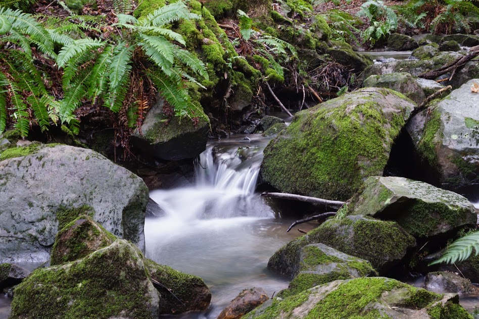 Peters Creek and Long Ridge