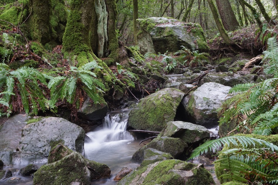 Peters Creek and Long Ridge