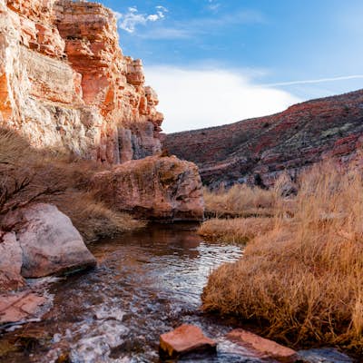 Hike the K-Lynn Cameron Trail in the Red Mountain Open Space