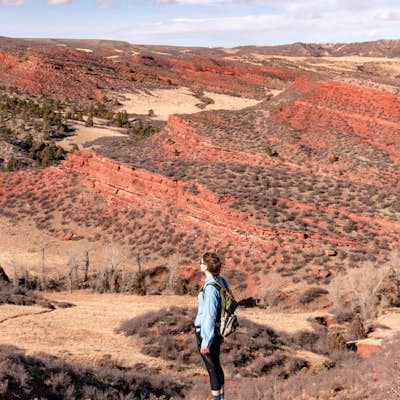 Hike the K-Lynn Cameron Trail in the Red Mountain Open Space