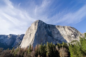 Watch the Sunset in El Capitan Meadow