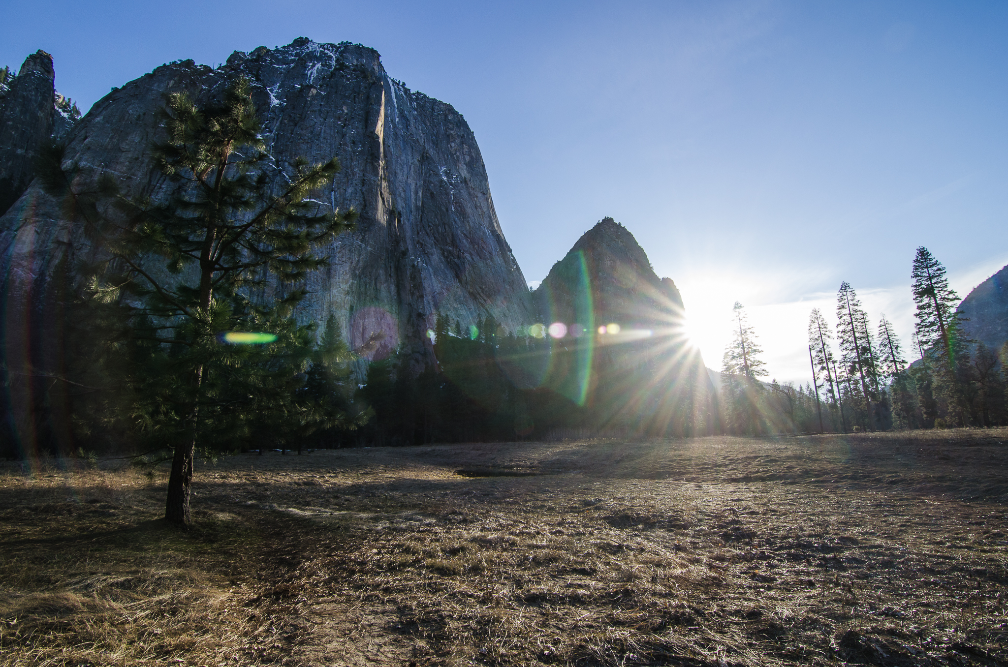 Watch the Sunset in El Capitan Meadow