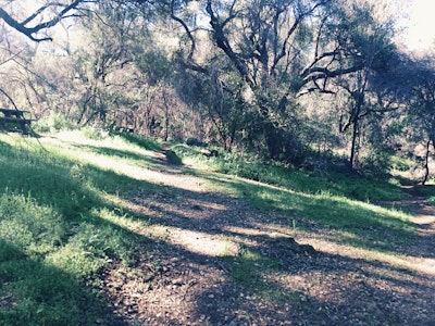 Hike to the Malibu Lake Overlook, Cistern Trail