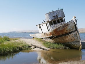 Point Reyes Can Be the Most Amazing Place You've Ever Been To