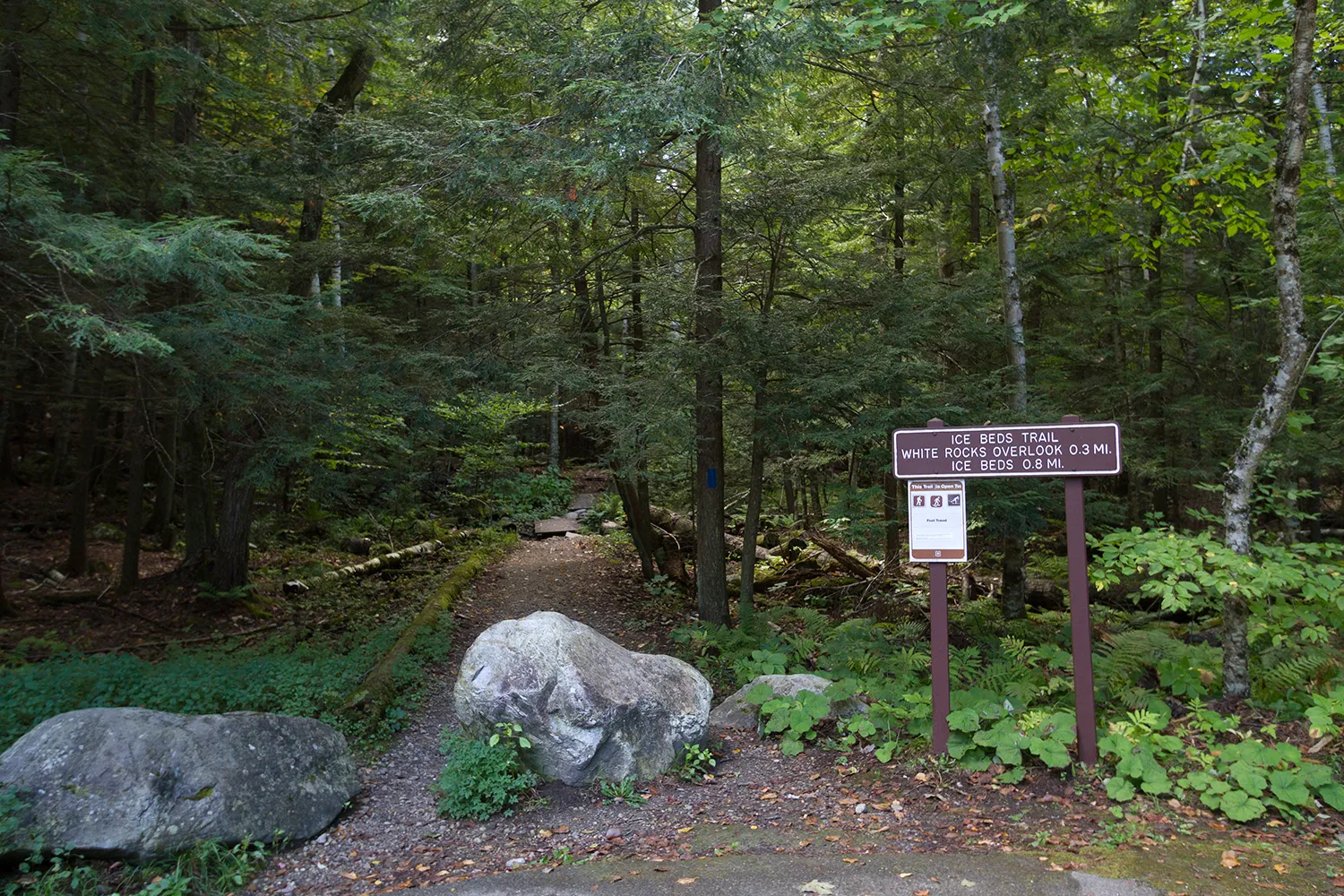 Hike the White Rocks Ice Beds Trail