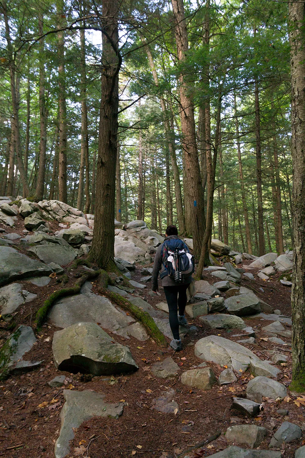 Hike the White Rocks Ice Beds Trail