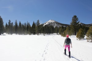 Snowshoe the Obsidian Dome Trail