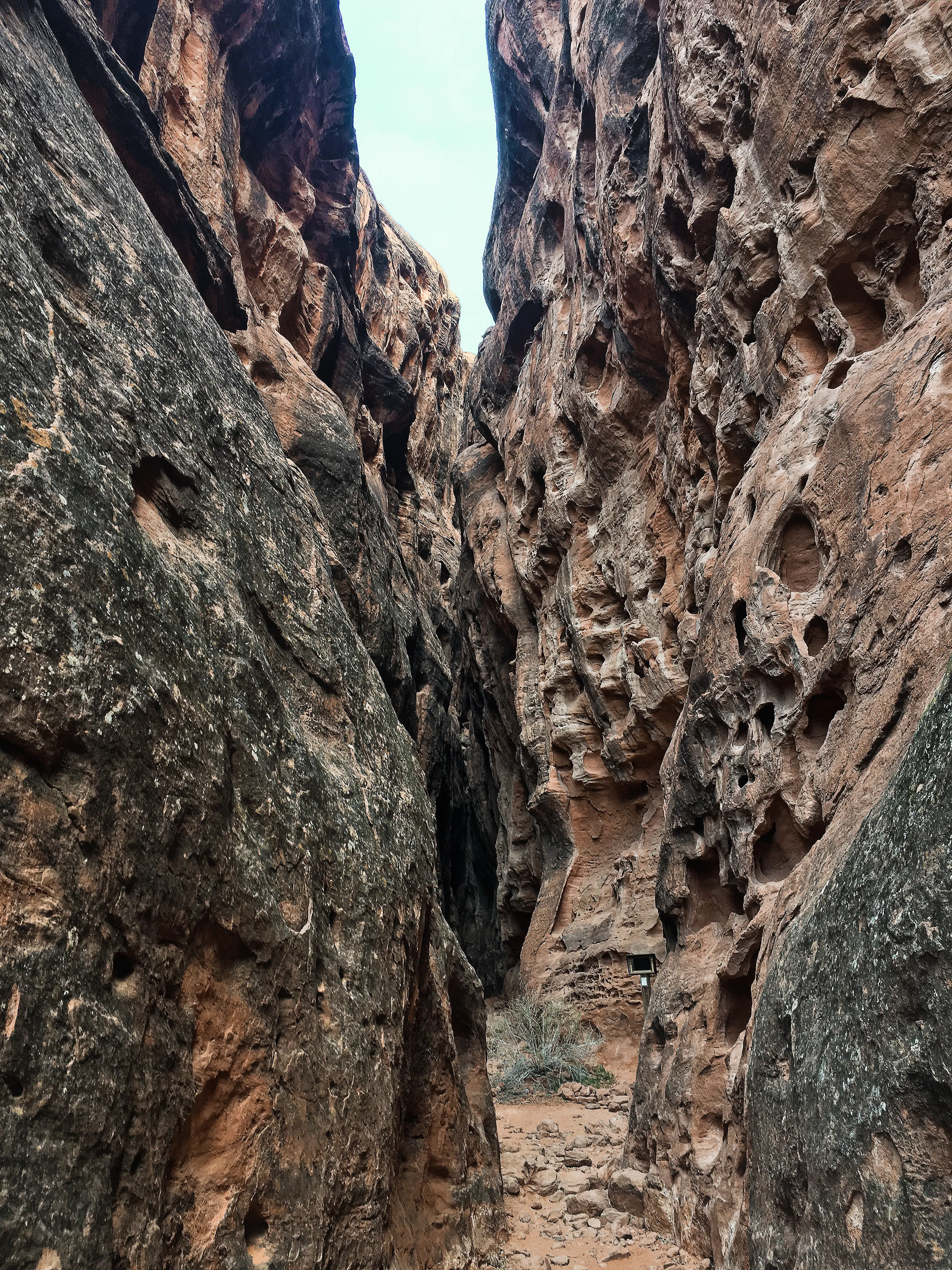 Hike Jenny's Canyon in Snow Canyon State Park