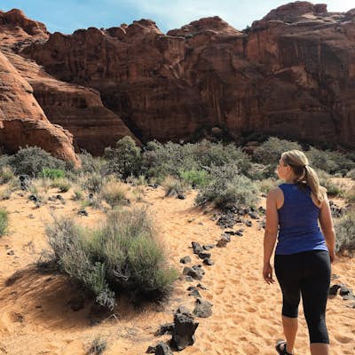 Hike Jenny's Canyon in Snow Canyon State Park
