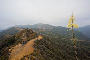 Hike to Parker Mesa Overlook via Trippet Ranch