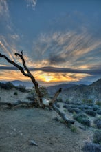 Catch a Sunset at Keys View in Joshua Tree NP