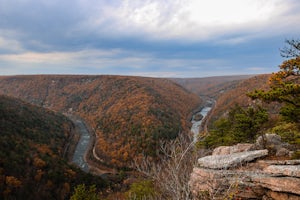 Tank Hollow Vista