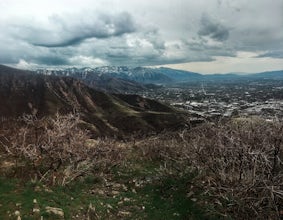 Hike or Trail Run Mount Van Cott