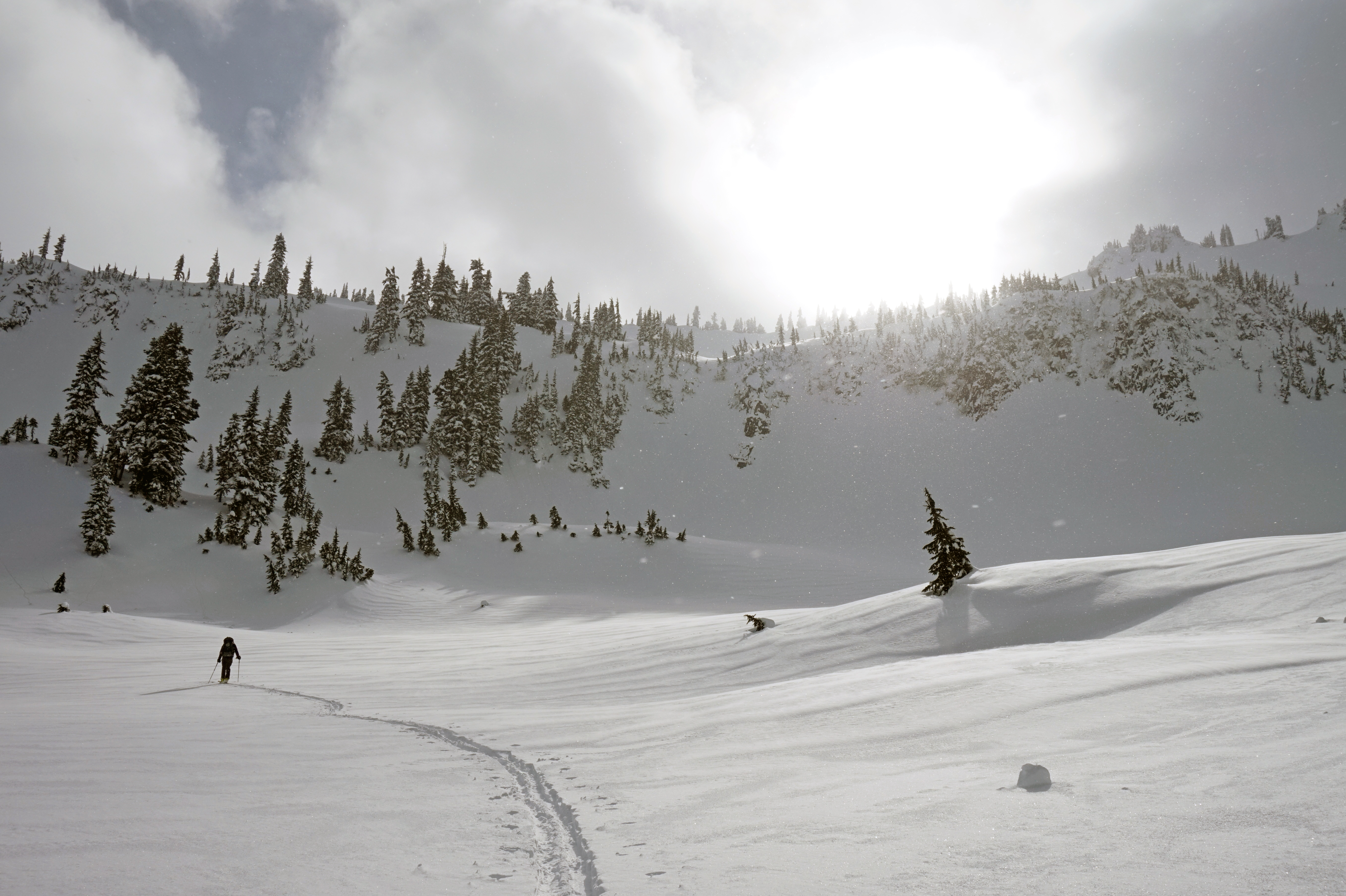 Ski Tour to The Castle & Pinnacle Peak
