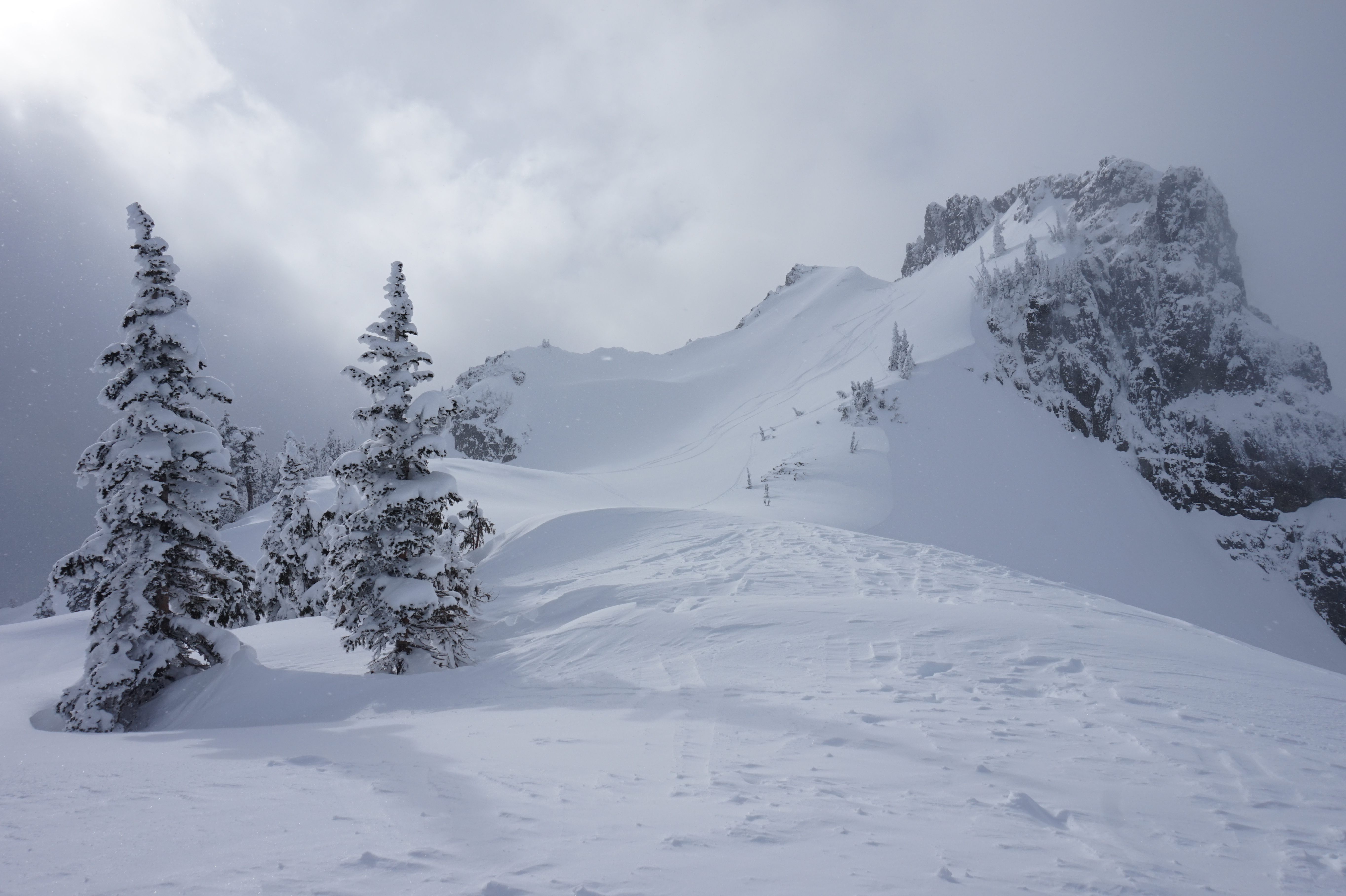 Ski Tour to The Castle & Pinnacle Peak
