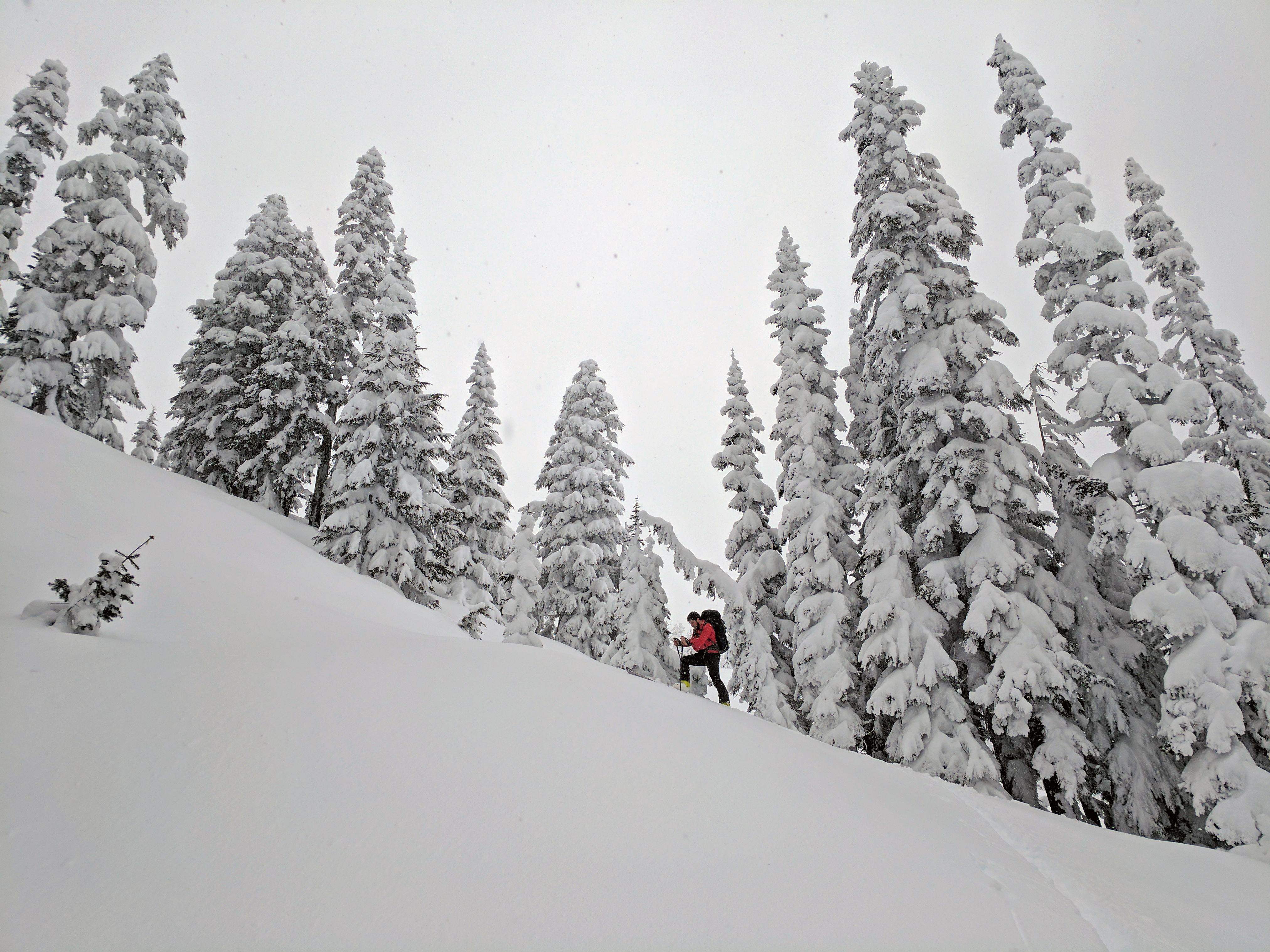 Ski Tour to The Castle & Pinnacle Peak
