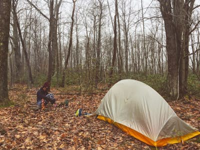 Primitive Camp along Wolf Rocks Trail