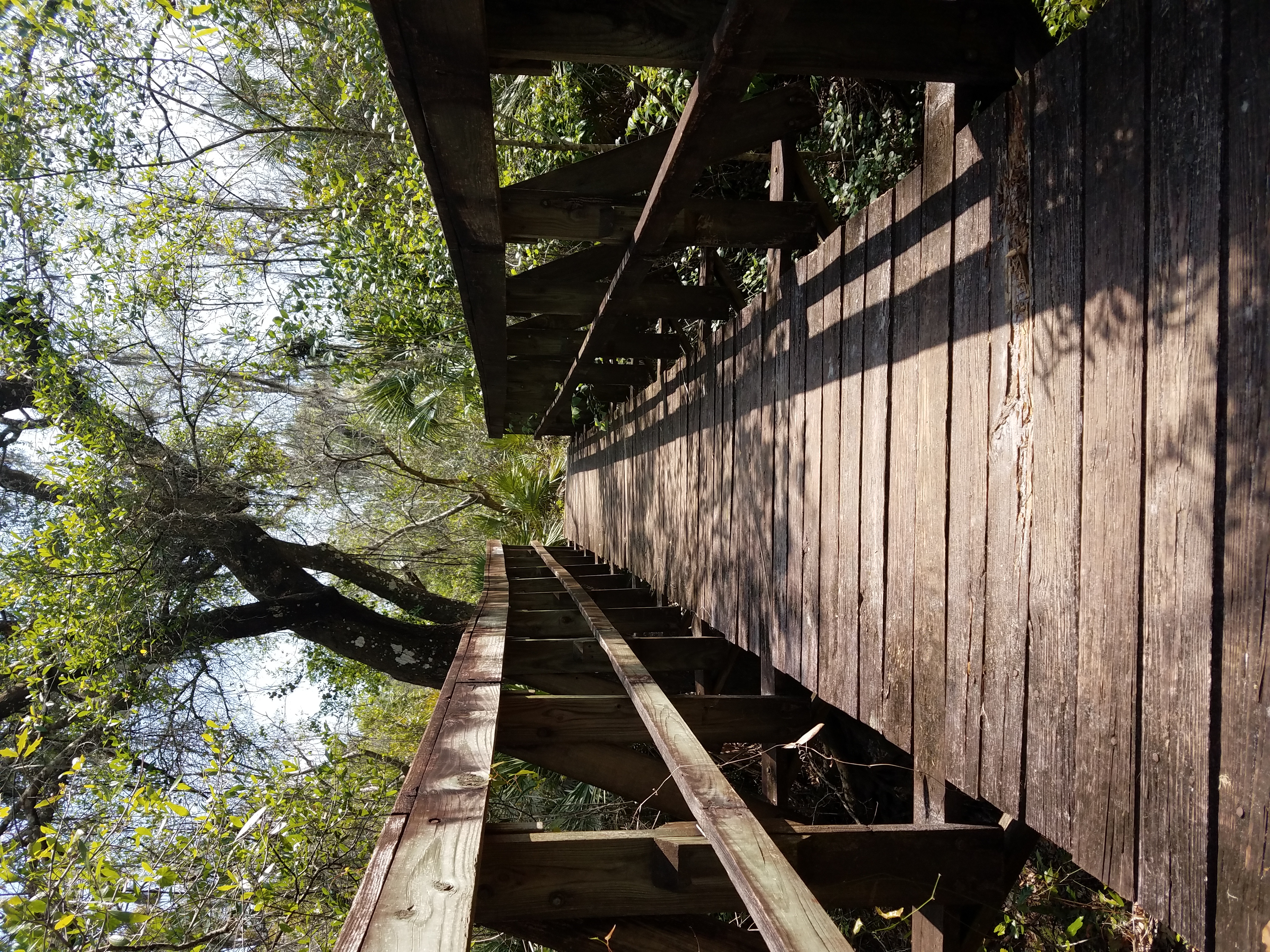 Hike Little Manatee River Loop, Wimauma, Florida